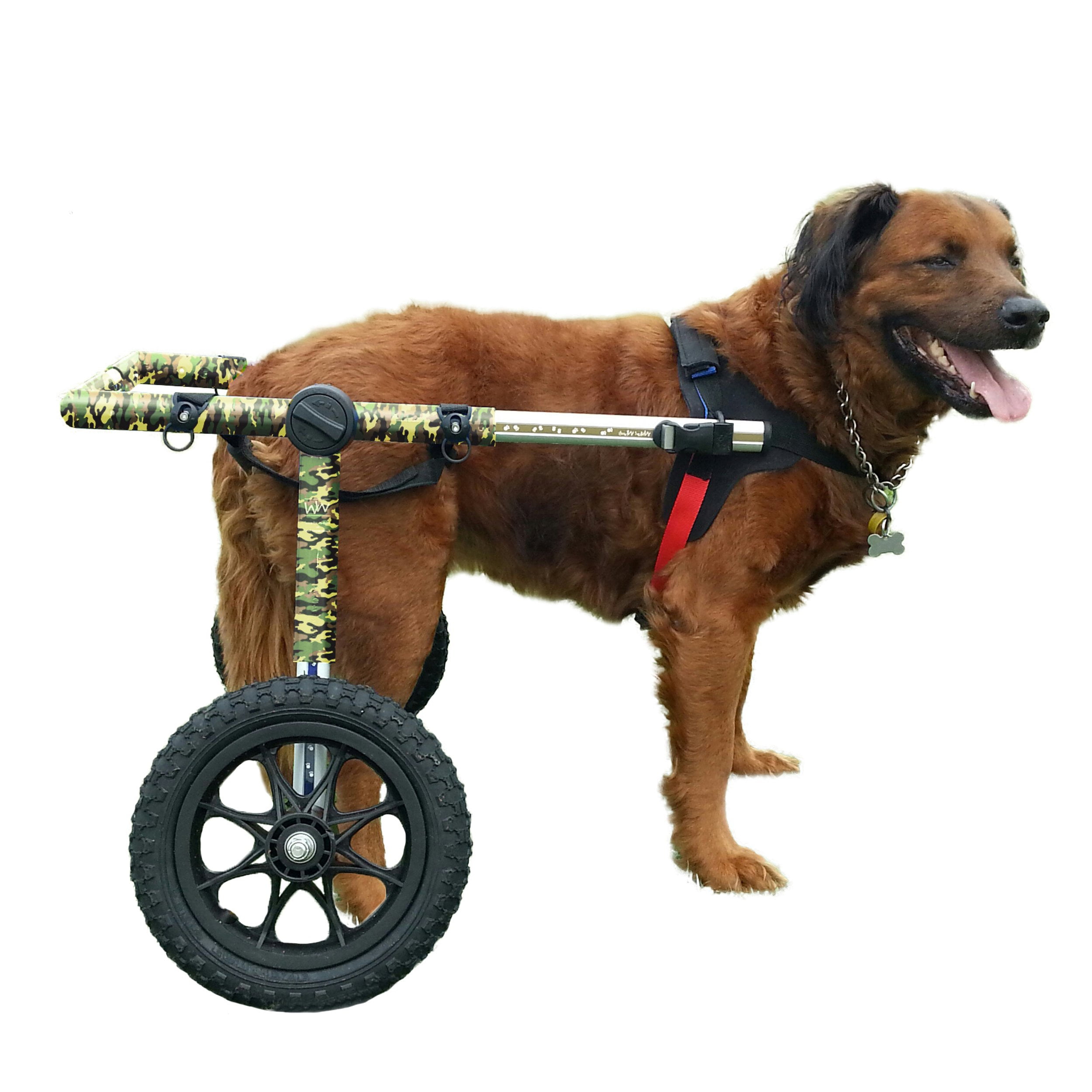 Camo Dog Wheelchair for Large Dogs 70180 Pounds Veterinarian