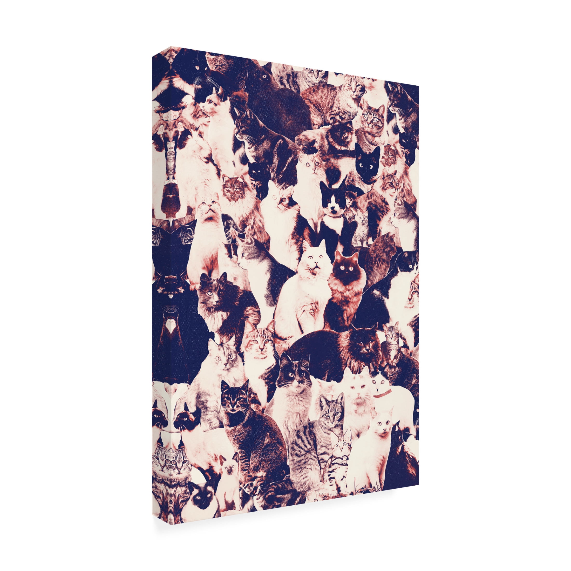 Trademark Fine Art Florent Bodart  Cats Forever Canvas Wall Art
