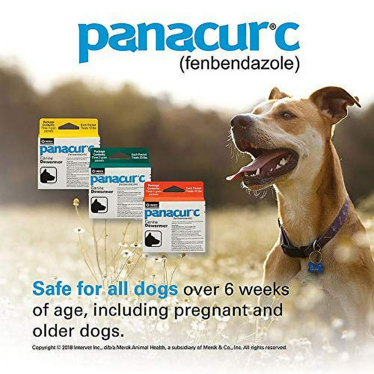 Panacur 10 for puppies online
