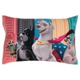 thumbnail image 6 of Warner Bros. DC Super Pets Krypto 4-Piece Toddler Bedding Set, Toddler Bed, 6 of 8