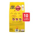 thumbnail image 6 of Purina Tidy Cats Non Clumping Cat Litter, 24/7 Performance Multi Cat Litter Odor Control Formula, 6 of 7