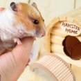 thumbnail image 4 of Wooden Climbing Bridge Hamster Training Ladder Guinea Pig Bridge Climbing Ladder, 4 of 7