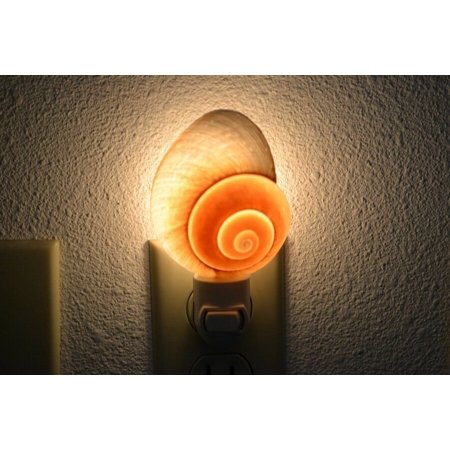 

Brown Landsnail Seashell Nightlight