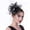 Black, variant on Elegant Black Fascinator Hat for Women, Vintage Mesh Yarn Headpiece with Hair Clip and Headband, Classic Palace Style Evening Tea Party Hair Accessory