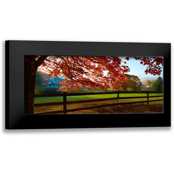McLoughlin, James 14x8 Black Modern Framed Museum Art Print Titled - Farm and Country IX
