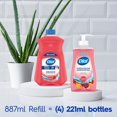 thumbnail image 3 of Dial Antibacterial Liquid Hand Soap, Pomegranate Tangerine Scent, 325ml, Dermatologist Tested, pH Balanced, Free from Silicones, Parabens, Phthalates, SLES/SLS, 3 of 9