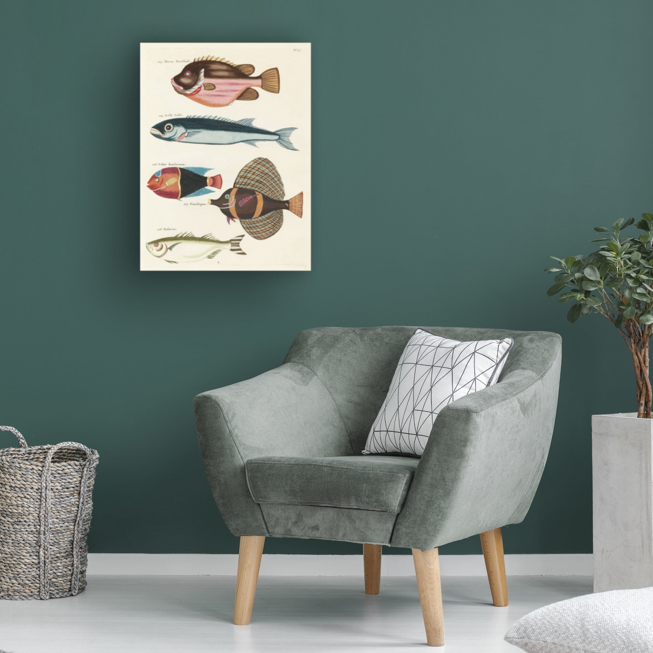 Trademark Fine Art Louis Renard Renard Tropical Fish IV Canvas Wall Art