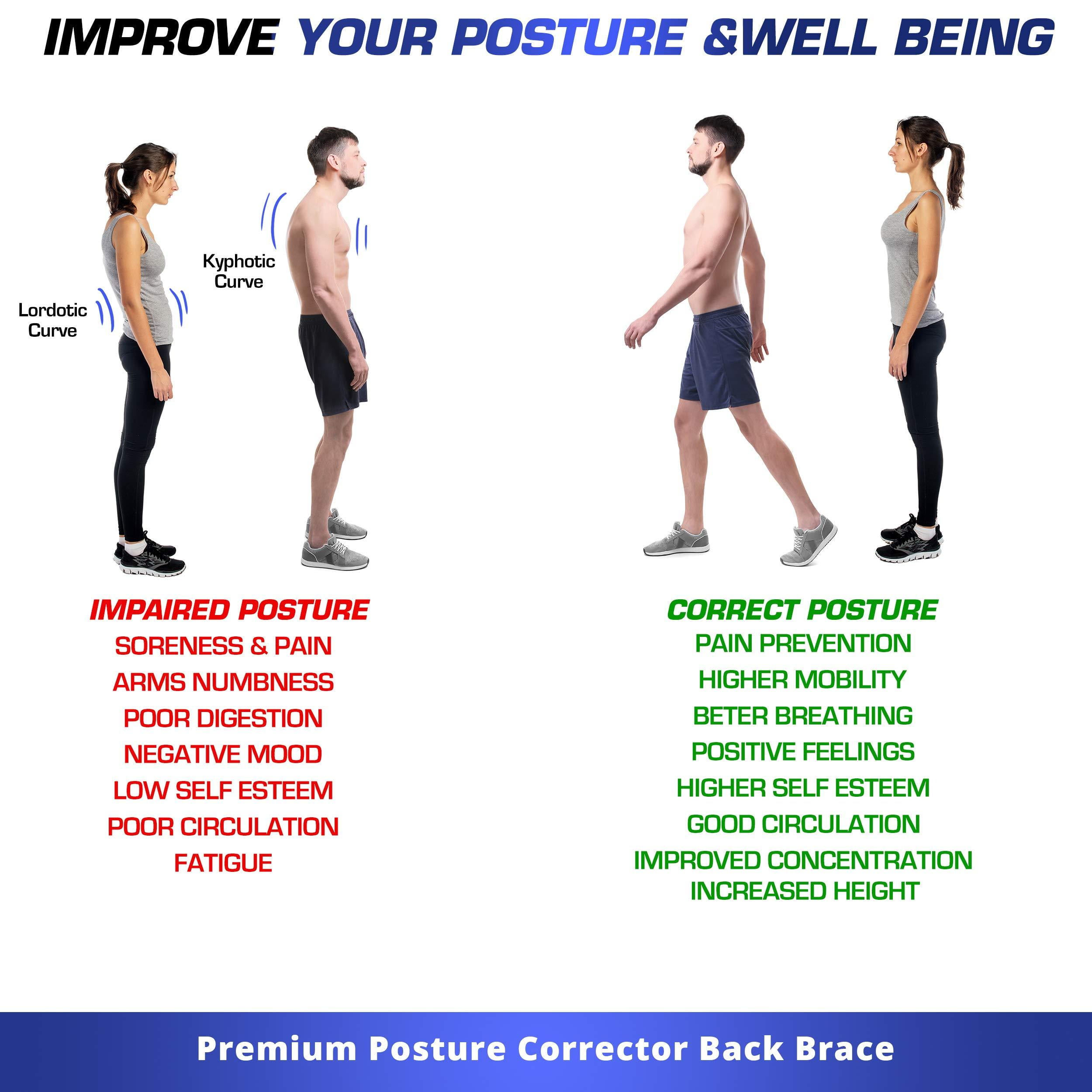 Comfort Breathable Mesh Lumbar Support MaideInSouthKorea Dailybucket Posture Corrector for Women And Men And kids Shoulder Posture Neck Brace Back Brace Medium Back Posture for Pain Relief