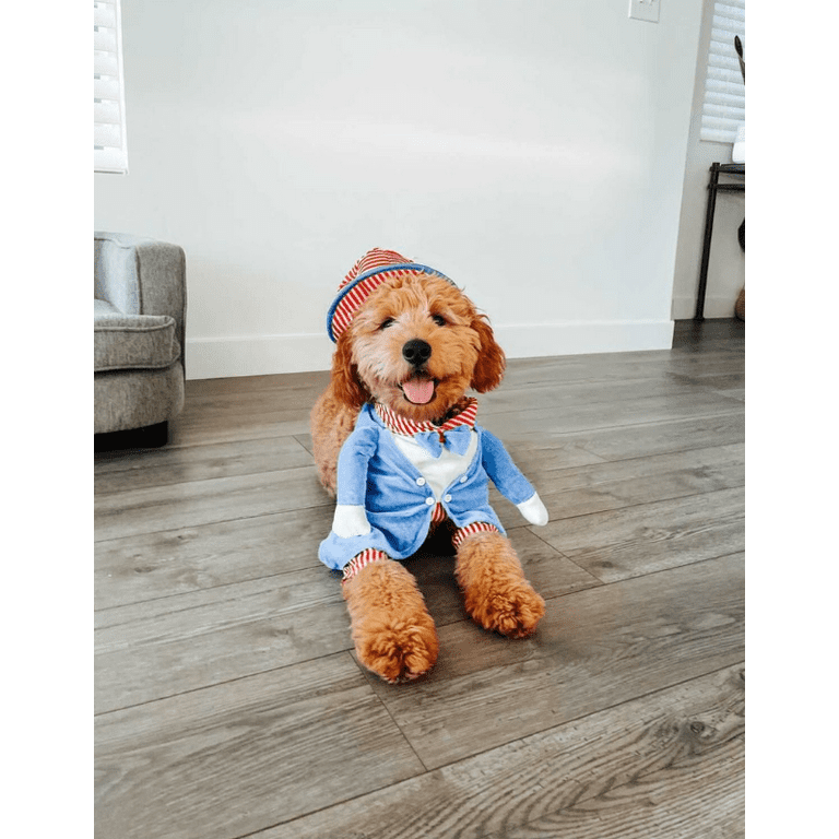 Midlee Uncle Sam 4th of July Fake Arms Dog Costume (Medium