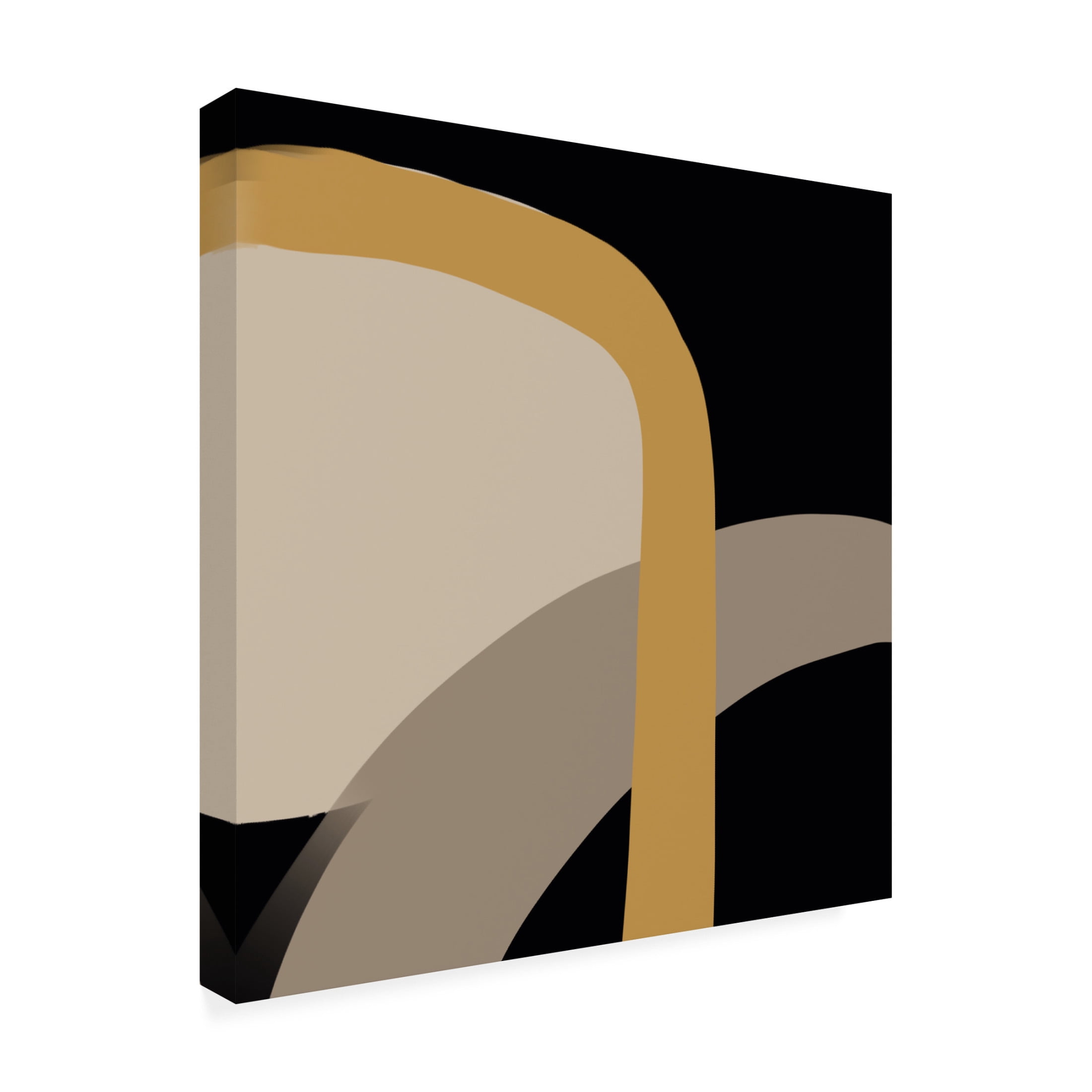 Trademark Fine Art Yopie Studio  Fortis Canvas Wall Art
