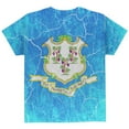thumbnail image 2 of Connecticut Vintage Distressed State Flag All Over Youth T Shirt Multi YXL, 2 of 2