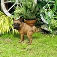 thumbnail image 2 of Zmoon French Bulldog Ornaments, 2 of 5
