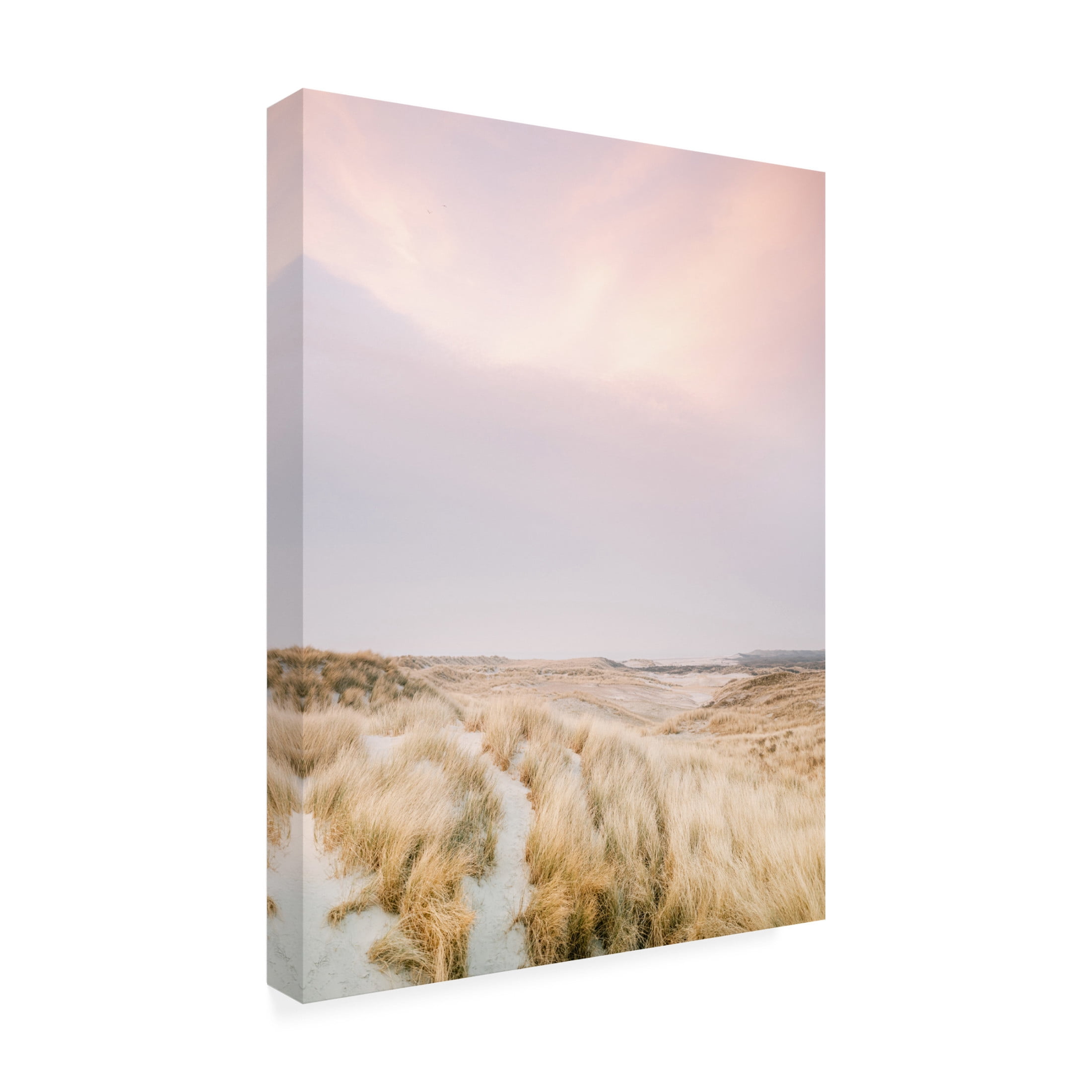 Trademark Fine Art Raisa Zwart Ameland Dunes 1 Canvas Wall Art
