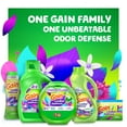 Gain + Odor Defense InWash Scent Booster, Super Fresh Blast Scent, 26.5 oz
