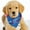 Blue, variant on kladzum American Flag Dog Bandana for Boy and Girl, Pet Patriotic Scarf, 4th of July Decorations, Premium Reversible USA Bandana for Small S Dogs Cats（16.53x16.53x25.59in）