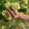 thumbnail image 3 of SimplyGro Tree & Shrub Fertilizer Spikes (12 Spikes - 3.0 Lbs), 3 of 5