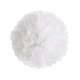 thumbnail image 2 of Tissue Pompoms and Hanging Flower Decorations - Paper Ball for Party Wedding Decoration 1PCS, 2 of 6
