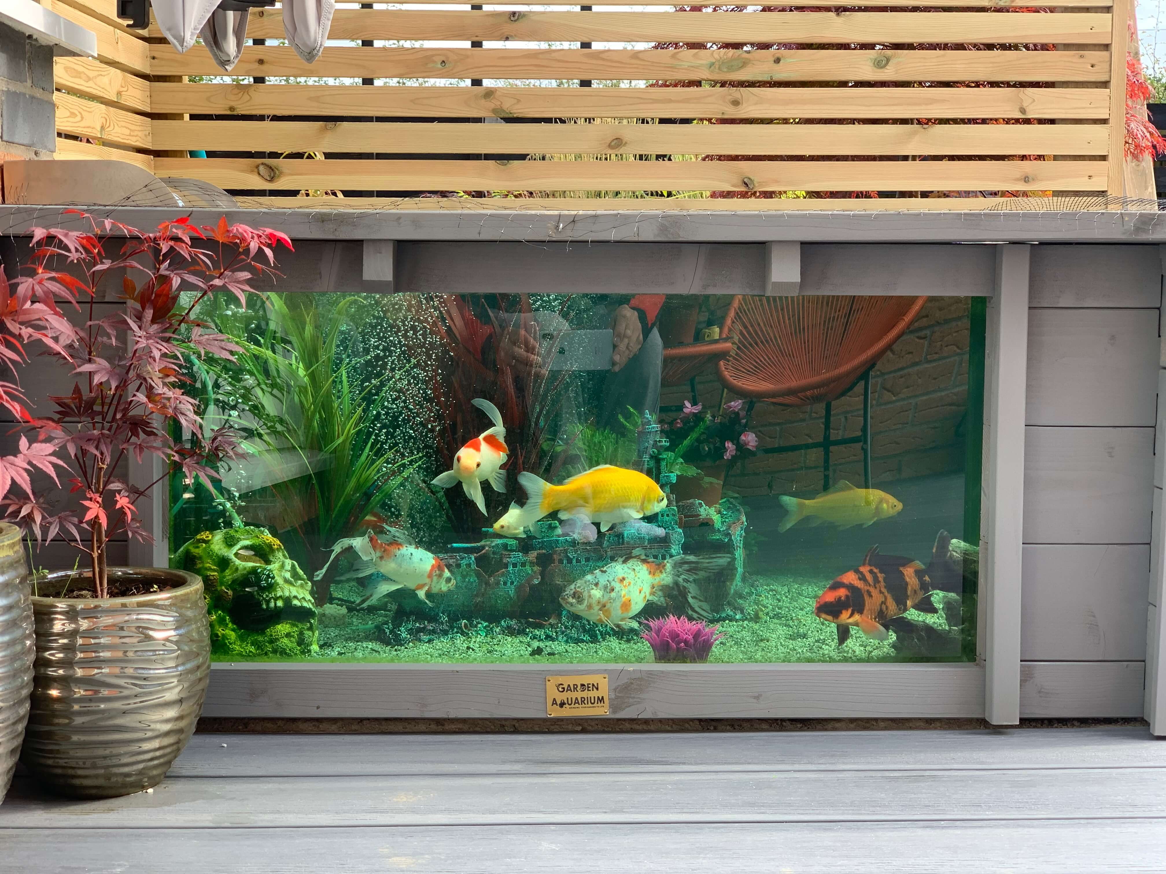 Raised Wooden Square Pond with Large Windows - Lotus Clear View Garden Aquarium in Gray 172 Gallon