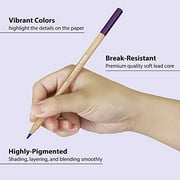 COLOUR BLOCK 40pc Colored Pencils Drawing Travel Art Set, Sketch Supplies for Beginners, Children, and Artists