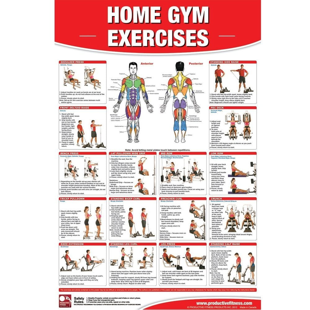 Fitness Equipment Gear Foam Rolling Chart 24 X36 Fitness Foam Roller 