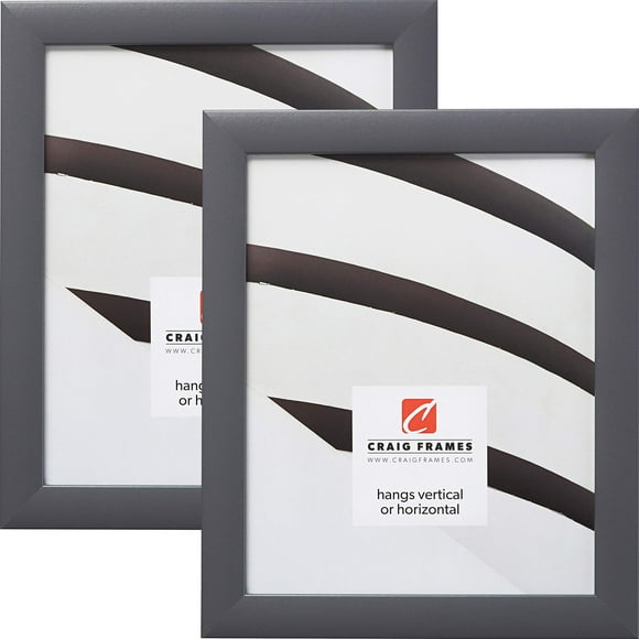 Craig Frames 23247635 24 x 30 Inch Picture Frame, Grey, Set of 2