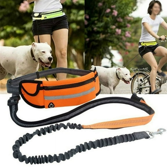 5.2FT Dog Leash with Waist Bag, Reflective Nylon Dog Walking Running Leash for Small Medium Dog
