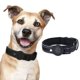 thumbnail image 1 of de nailon para perro, hebilla de cinturón, de entrenamiento, cómodo, duradero, , transpirable, para gato para perros verde Salvador cuello grande, 1 of 7