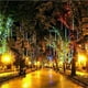 thumbnail image 5 of Guirnalda de luces LED para exteriores, 32/24/16/8 tubos, lluvia de meteoritos, resistente al agua, para fiestas callejeras, decoración de árboles de Navidad, 5 of 5