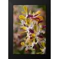 thumbnail image 2 of Semenza, Marlana 17x24 Black Modern Framed Museum Art Print Titled - Tropical Garden Orchids, 2 of 5