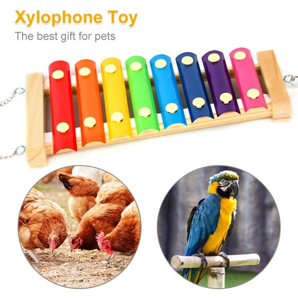 POINTERTECK Chicken Toys for Coop Chicken Xylophone Toys for hens with