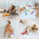 thumbnail image 4 of Masticador Catnip Toys ETEKYER para gatos, limpieza de dientes en interiores, 4 of 6