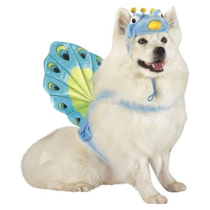 Peacock Pet Dog Costume - Size Medium - 15 - 30 lbs by, Peacock Fan tail attaches to pet back & hat By Target Ship from US