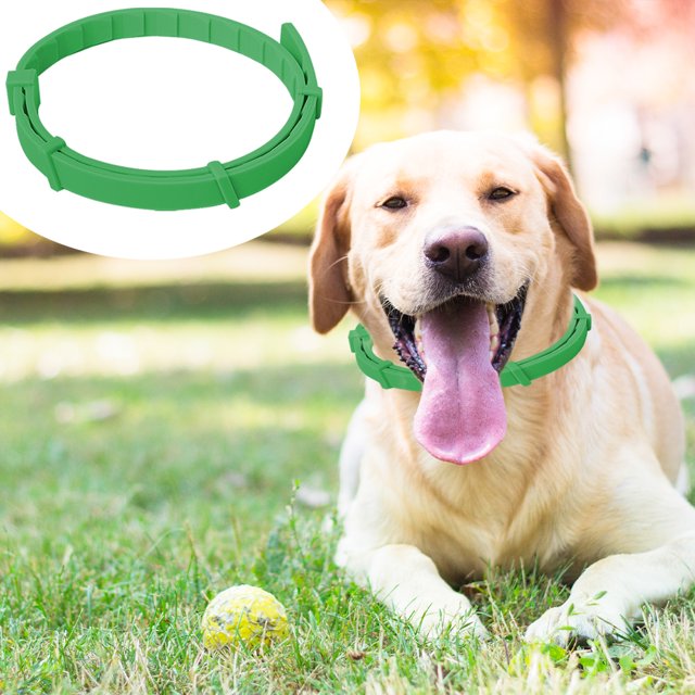 Collar antipulgas Anti-ansiedad Impermeable Mascota Perro Gato Collar repelente de insectos (Verde)