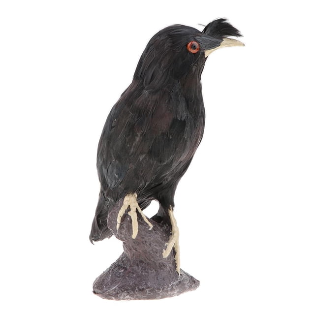 Juguete de Animales de Simulación Modelo de Aves Negro Conoscitivo de Aprendizaje de Ciencia para Niños