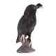 thumbnail image 1 of Juguete de de Simulación Modelo de Aves Negro Conoscitivo de Aprendizaje de Ciencia para Niños, 1 of 9