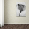 thumbnail image 4 of Trademark Fine Art "Flowers on Ice BW-2" Canvas Art by Moises Levy, 4 of 4