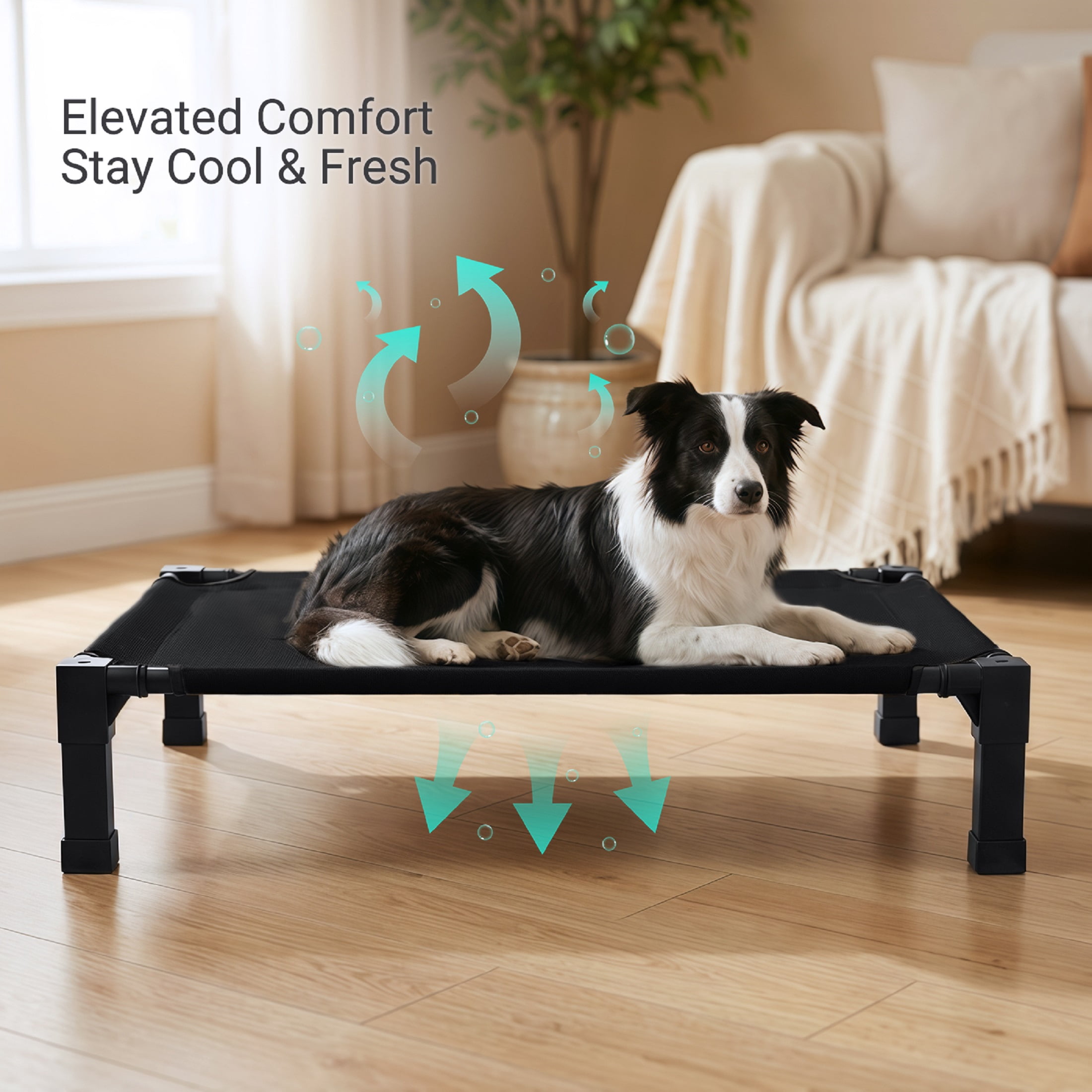 Elevated Dog Bed, Cooling Raised Bed, Portable&No-Slip for Outdoor or Indoor Use, Black, Large, 51"L x 36"W x 9.3"H