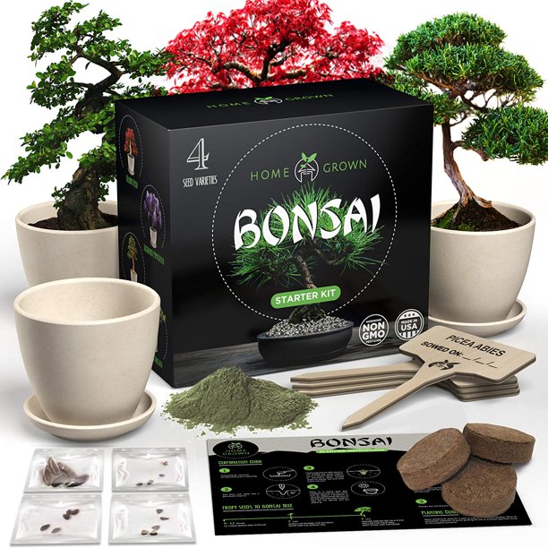 Bonsai Tree Kit All in One Premium Bonsai Tree Starter Kit