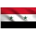 thumbnail image 3 of DMSE Drapeau de la République Arabe Syrienne 3X5 Pieds 100 % Polyester Drapeau 100D Résistant aux UV (3 Pieds X 5 Pieds Pieds), 3 of 4