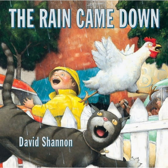 The Rain Came Down, (Hardcover)