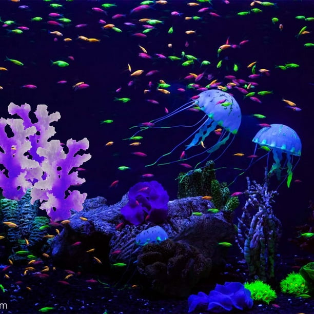 Coral on sale aquarium decorations