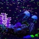 thumbnail image 4 of 1 paquete de corales con efecto brillante, adornos de plantas de coral, decoración de coral para acuarios., 4 of 8