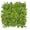 Fern, variant on Artificial Garden Design White Buxus 20"x 20" Panels (6)