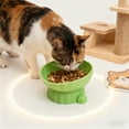thumbnail image 4 of Uklsqma Multi-Color Plastic Elevated Cat Bowl | Tilted Rim Neck-Relief Design | Non-Slip Stable Base | Large Diameter Pet Food and Water Dish | Easy to Clean Durable Puppy Feeding Bowl, 4 of 6