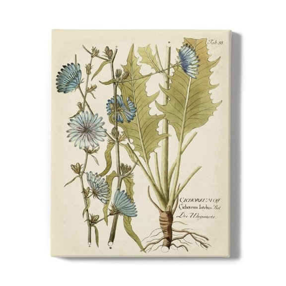 Eloquent Botanical I Wrapped Canvas -Vision Studio Designs,