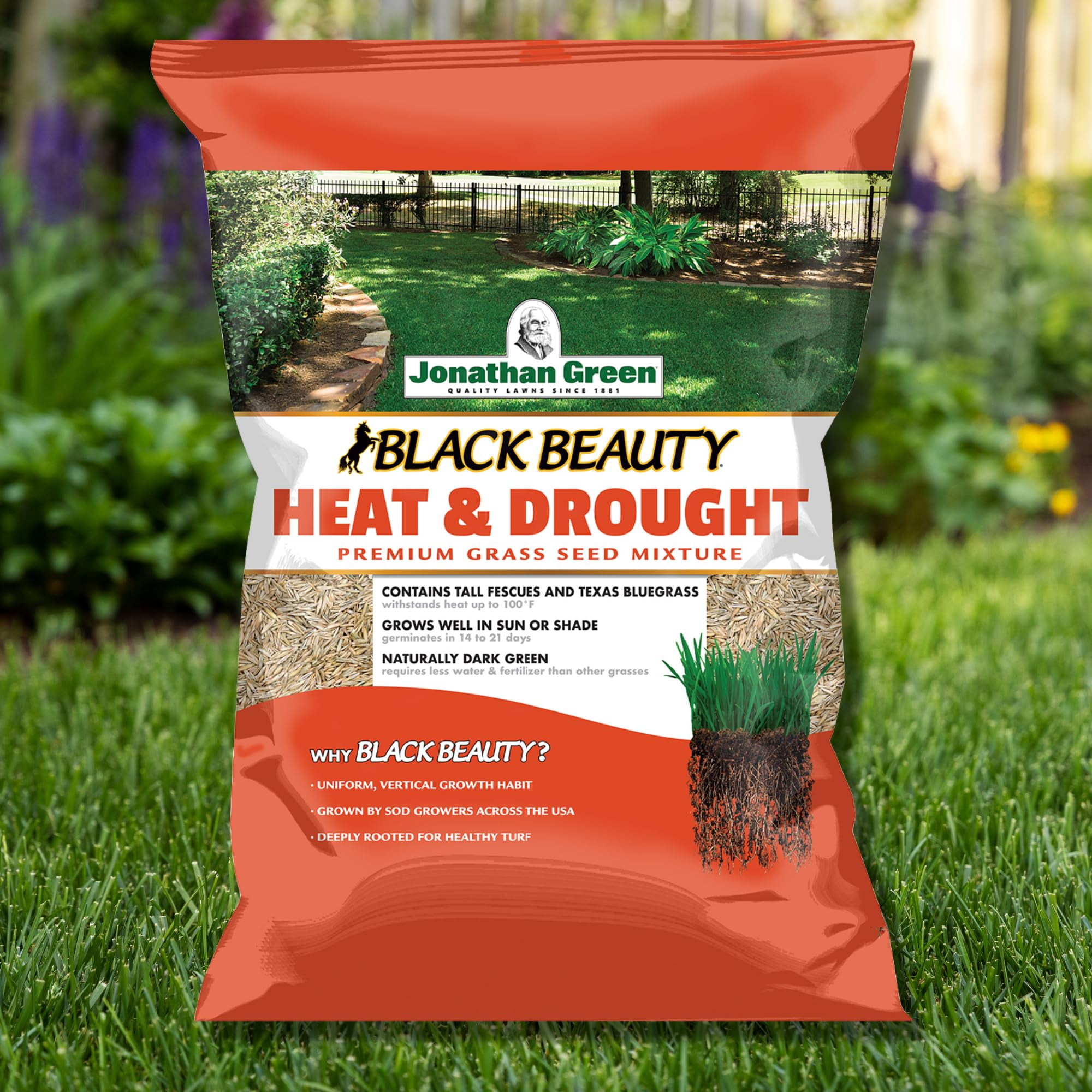 Jonathan Green (10514) Black Beauty Heat MVR1&nbsp;& Drought Resistant Grass Seed - Cool Season Lawn Seed (3 lb)