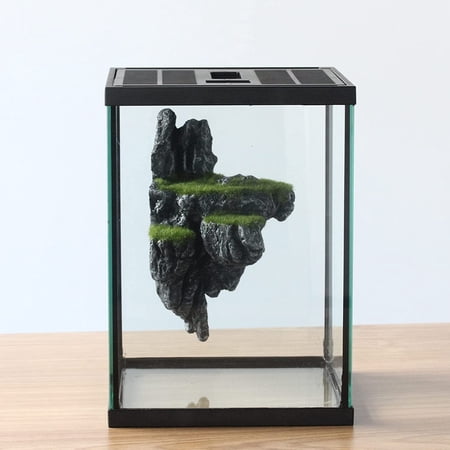Small Vertical Insect Glass Terrarium Box, Reptile Tank with Lid ...