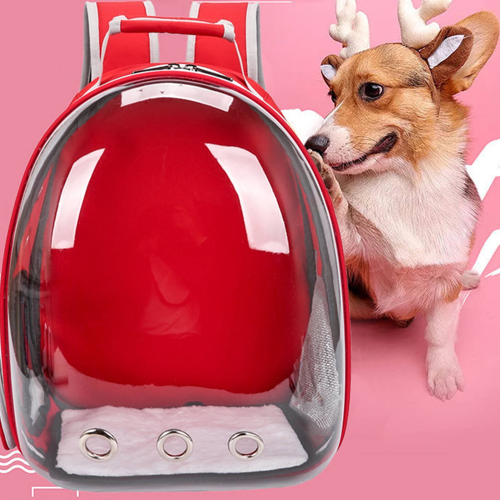 GASTROPOD Cat Backpack,Panoramic View with Full-Size Window Cat Backpack Carrier,Breathable Design with 3 Ventilation Holes on Each Side Dog Carrier Backpack,Black