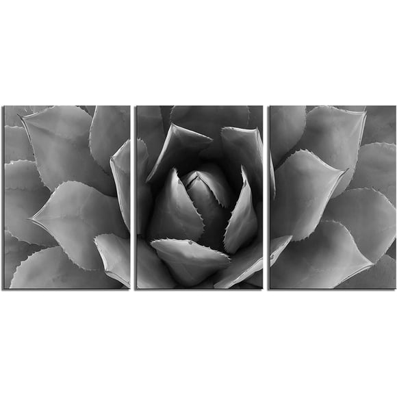 Black And White Plant Wall Art Canvas Prints Agave Flower Artwork Canvas Printing Canvas Wall Art Print