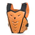 thumbnail image 1 of Motorcycle Armor Vest Chest Spine Back Protector Protective Vest for Cycling Skating Skiing Motocross Bike Riding, 1 of 7